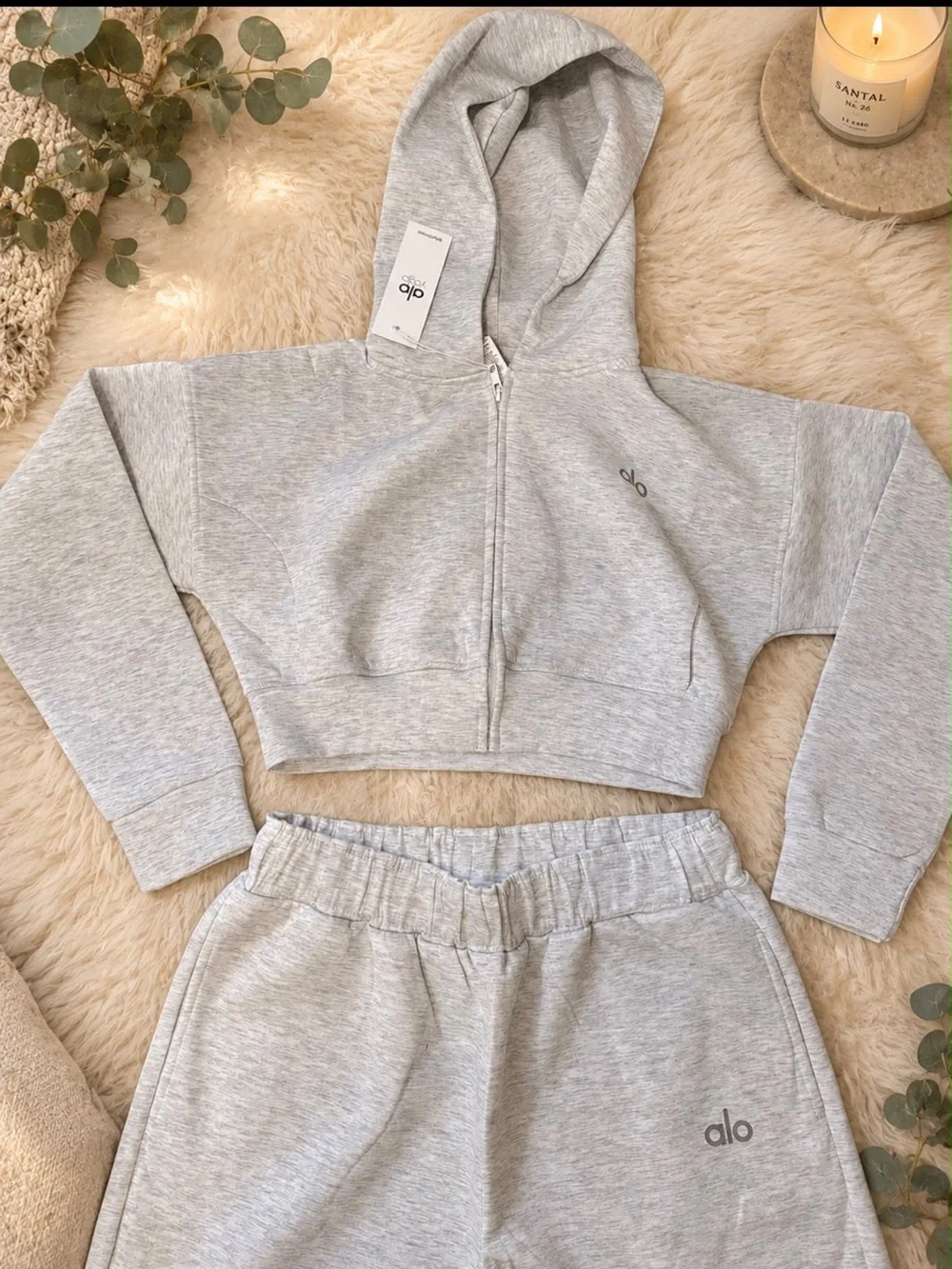 ALO Yoga Light Gray Cropped Zip Hoodie
